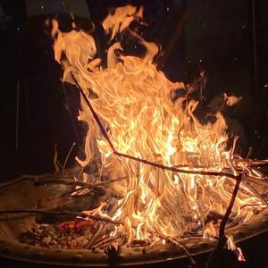 Meet your Posher, Juliette